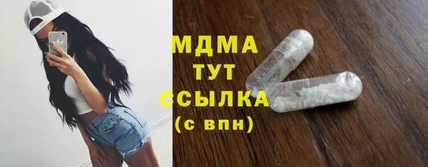 хмурый Ельня