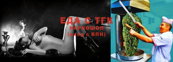 хмурый Ельня