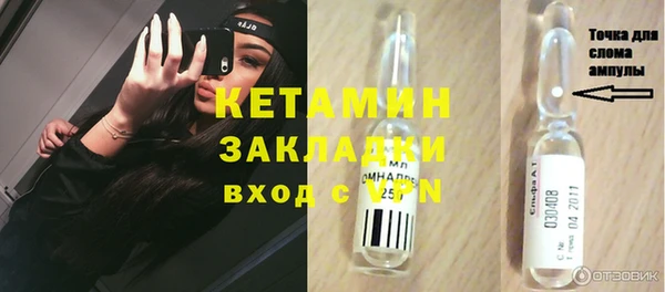 хмурый Ельня