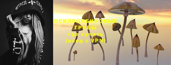 хмурый Ельня
