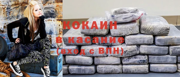 хмурый Ельня