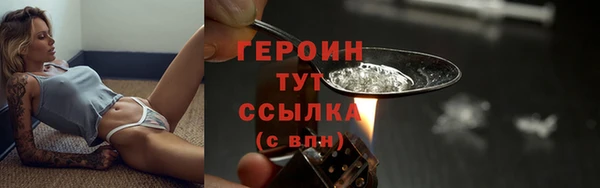 хмурый Ельня