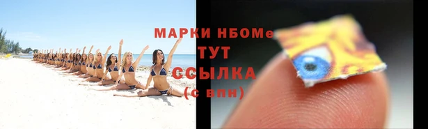 хмурый Ельня
