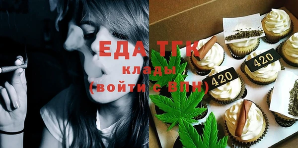 хмурый Ельня