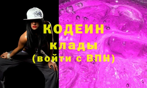 хмурый Ельня