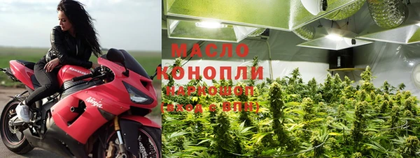 хмурый Ельня