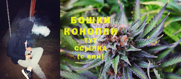 стафф Елабуга
