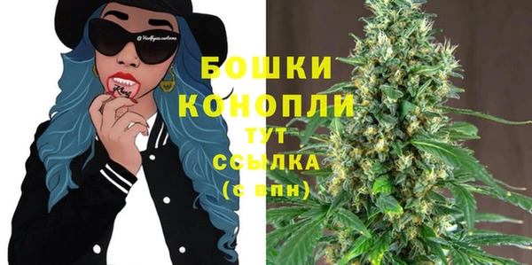 хмурый Ельня