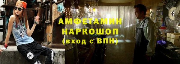 хмурый Ельня