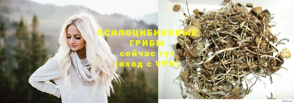 стафф Елабуга